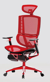 PA Castor Ergonomic Home Office Chair Lumbar Support Polyester Mesh